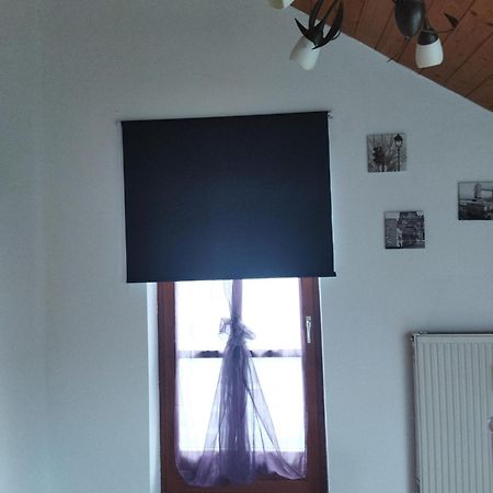 Aussergewoehnliche Atelierferienwohnung Mit Balkon An Der Donau Winzer ภายนอก รูปภาพ