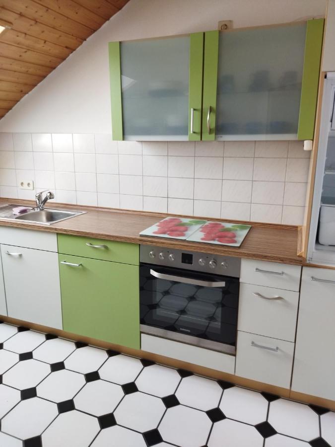Aussergewoehnliche Atelierferienwohnung Mit Balkon An Der Donau Winzer ภายนอก รูปภาพ