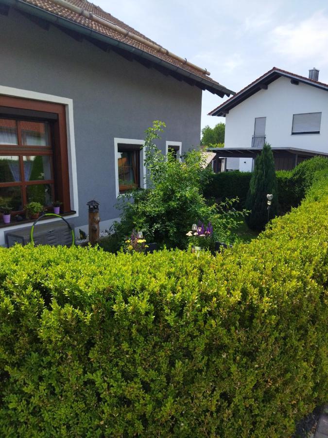 Aussergewoehnliche Atelierferienwohnung Mit Balkon An Der Donau Winzer ภายนอก รูปภาพ