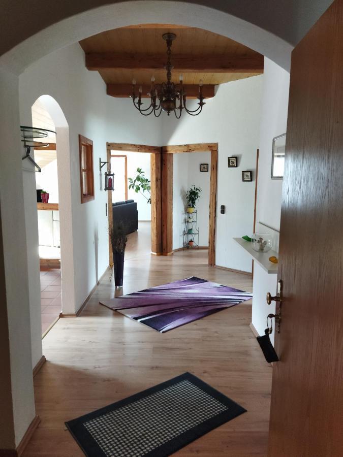 Aussergewoehnliche Atelierferienwohnung Mit Balkon An Der Donau Winzer ภายนอก รูปภาพ