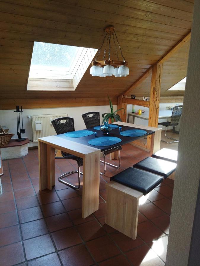 Aussergewoehnliche Atelierferienwohnung Mit Balkon An Der Donau Winzer ภายนอก รูปภาพ