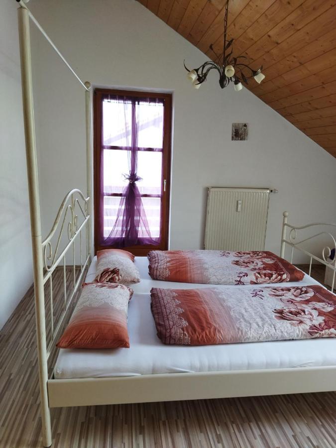Aussergewoehnliche Atelierferienwohnung Mit Balkon An Der Donau Winzer ภายนอก รูปภาพ