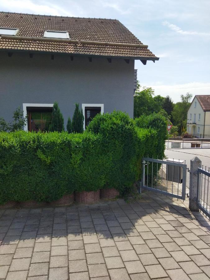 Aussergewoehnliche Atelierferienwohnung Mit Balkon An Der Donau Winzer ภายนอก รูปภาพ