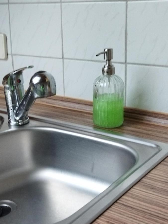 Aussergewoehnliche Atelierferienwohnung Mit Balkon An Der Donau Winzer ภายนอก รูปภาพ