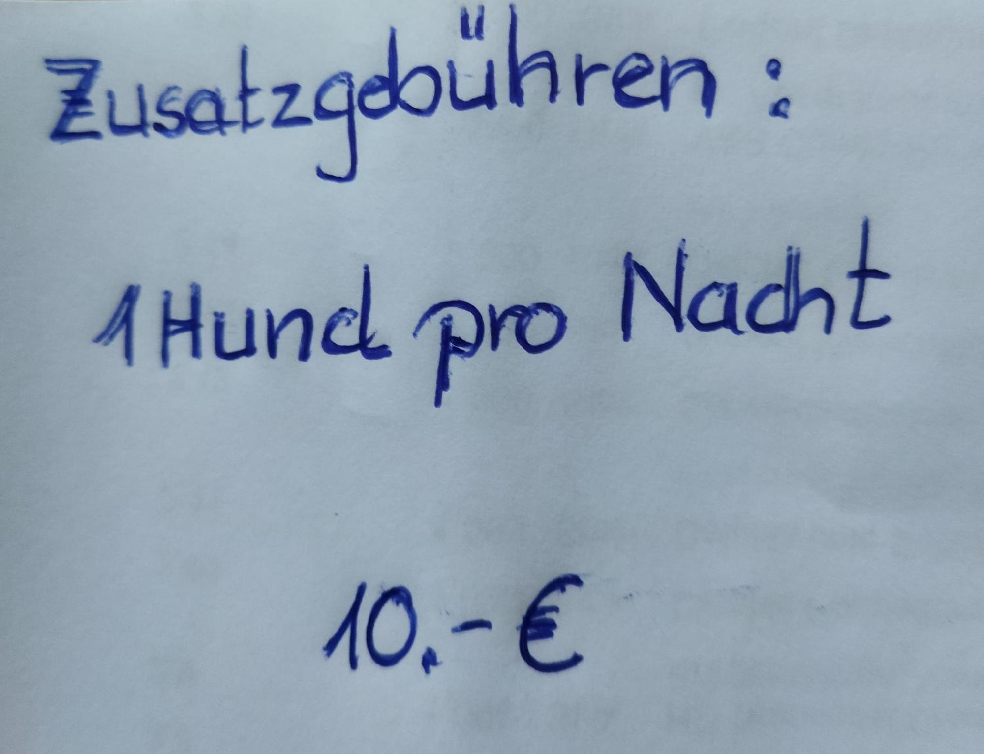 Aussergewoehnliche Atelierferienwohnung Mit Balkon An Der Donau Winzer ภายนอก รูปภาพ